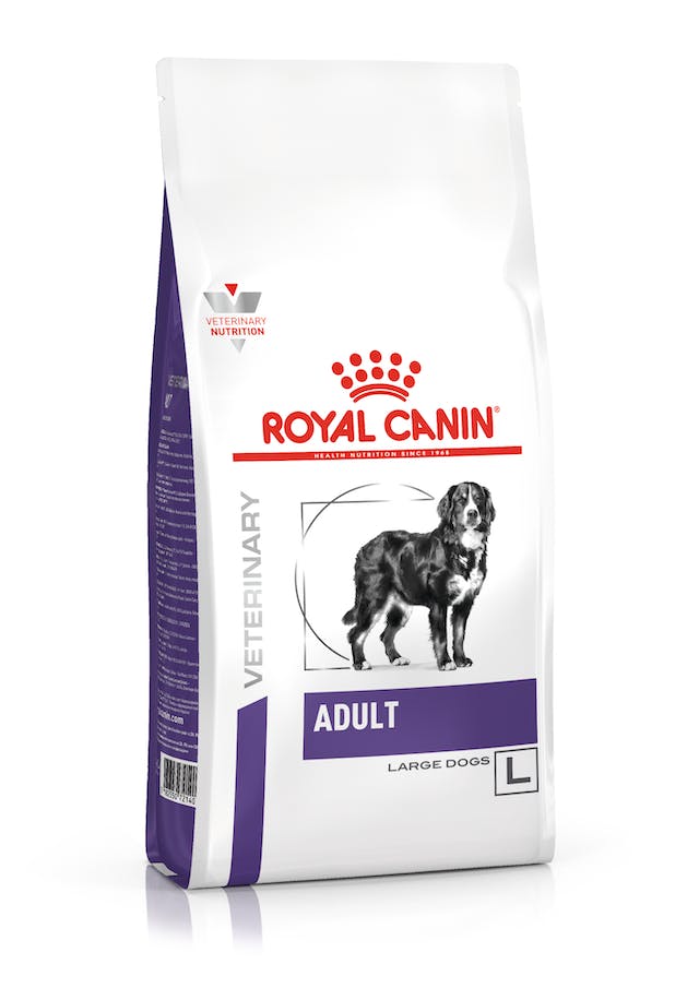 Royal Canin Adult Large Dog Royal Canin Adult Large Dog